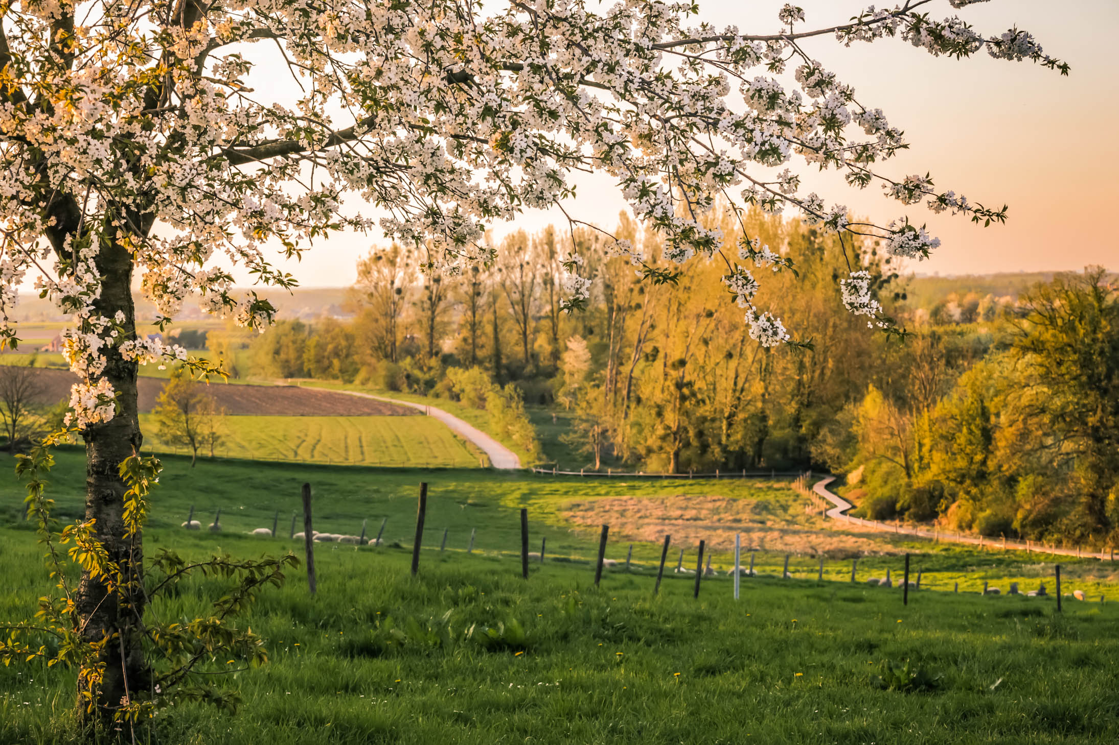 wandel en beleef