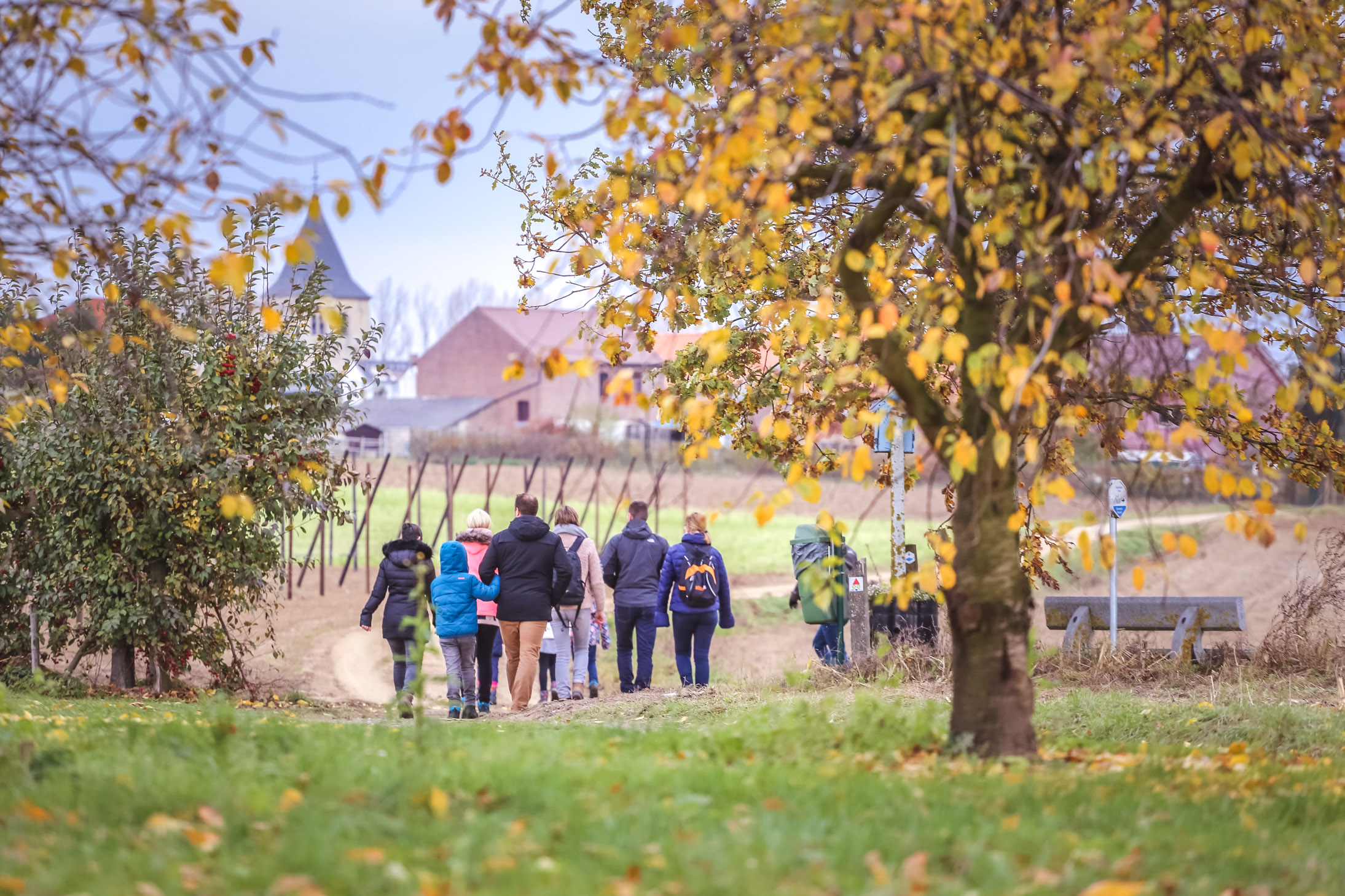 Wandelen in Hartelijk Haspengouw 