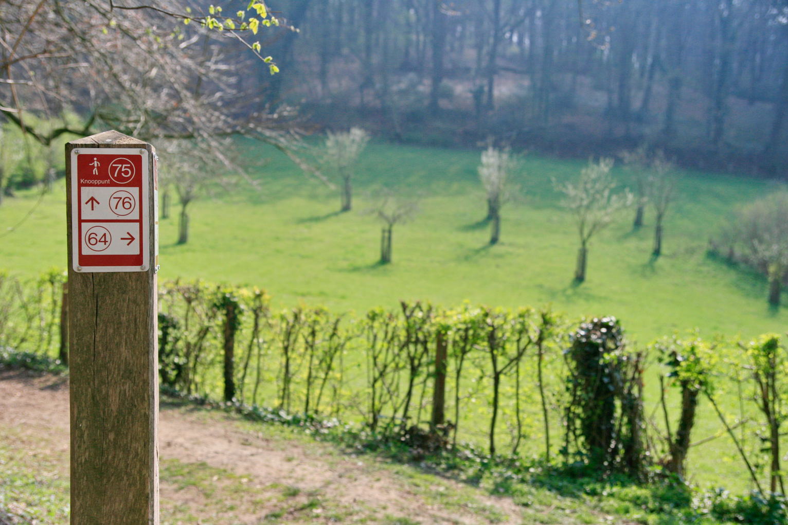 Wandelen in Veelzijdig Voeren