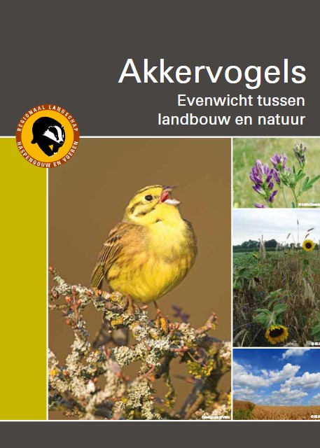 Akkervogels in Haspengouw