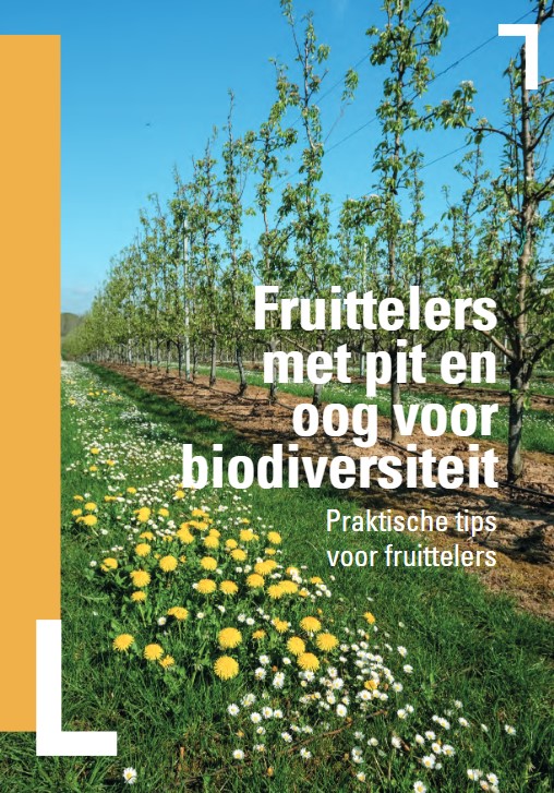 Fruittelers met Pit