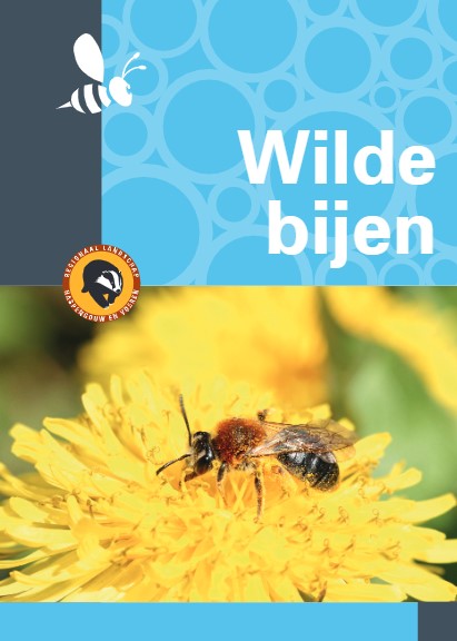 Wilde Bijen