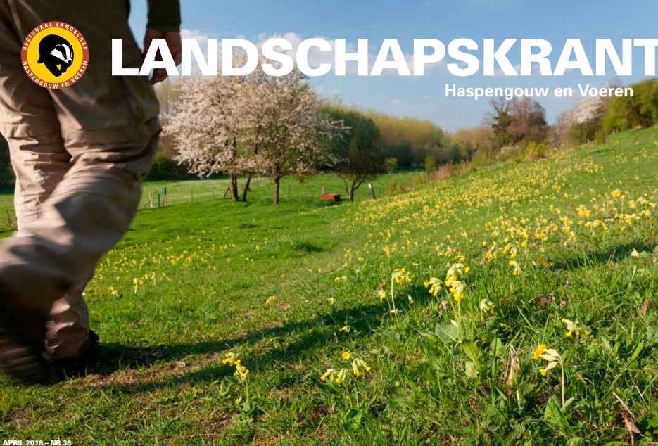 landschapskrant 36