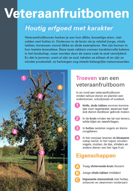 Veteraanfruitbomen